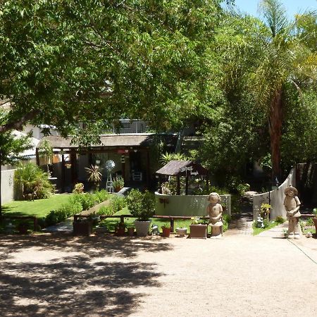 Springbok Apartments מראה חיצוני תמונה