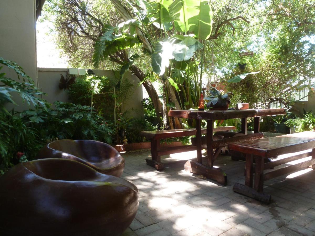 Springbok Apartments מראה חיצוני תמונה